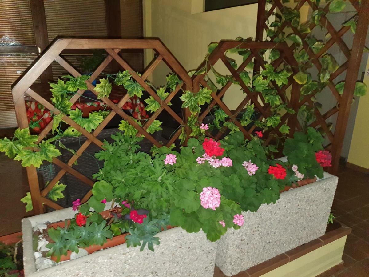 Garda Felice Lägenhet Desenzano del Garda Exteriör bild